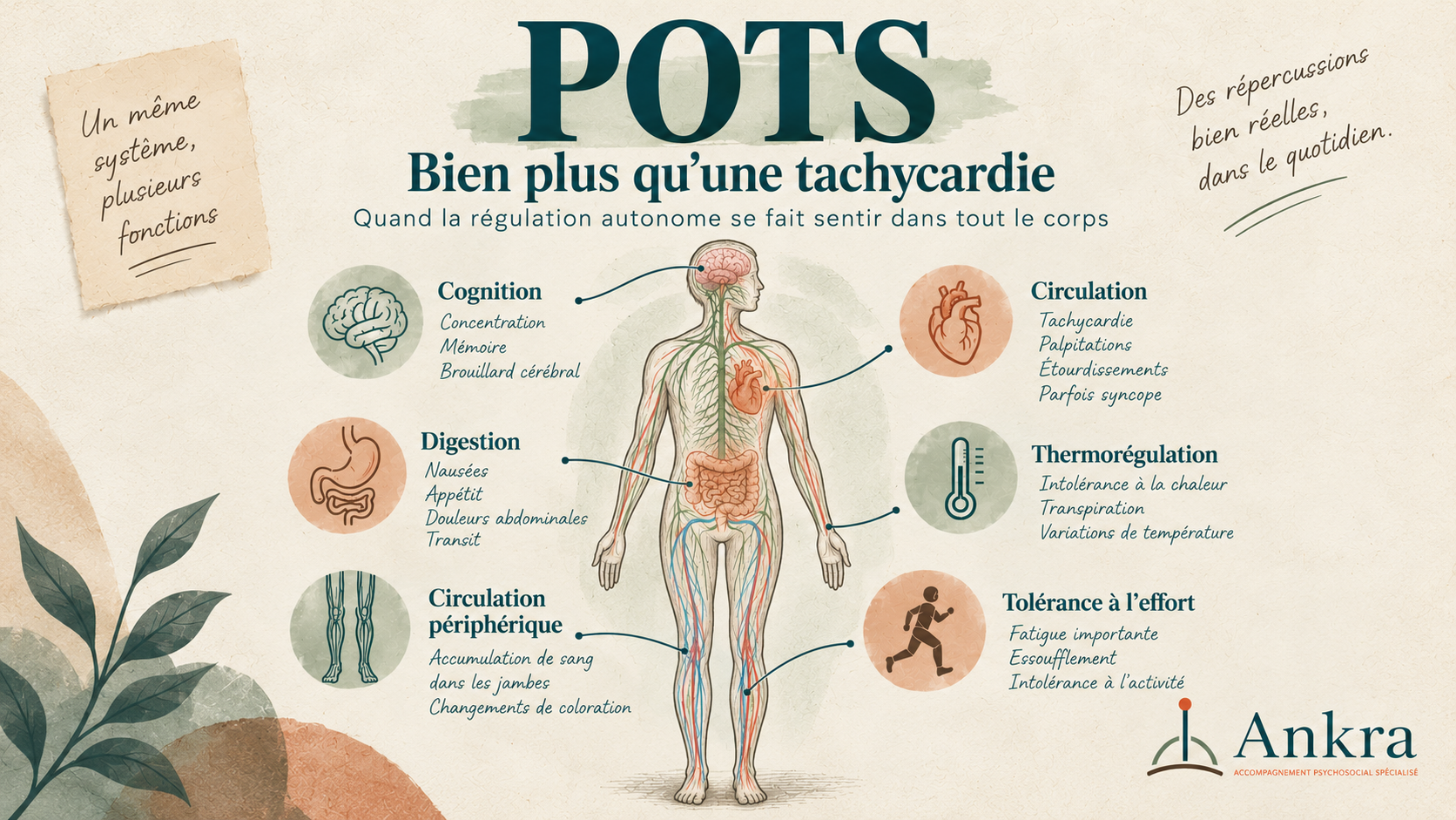 POTS : quand un trouble de la régulation autonome se fait sentir dans tout le corps